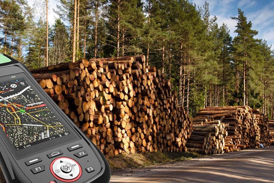 Лесное хозяйство